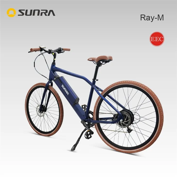 RAY-M 48v 500w Urban Electric Bike For Adults