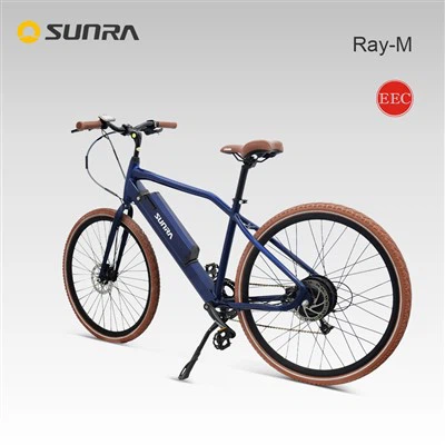 RAY-M 48v 500w Urban Electric Bike For Adults